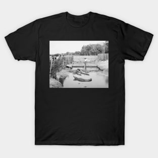 Florida Alligator Show, 1904. Vintage Photo T-Shirt